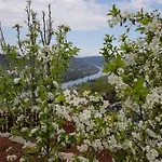 Apartment An Der Mosel 1
