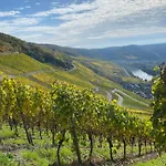 Apartment An Der Mosel 1 *