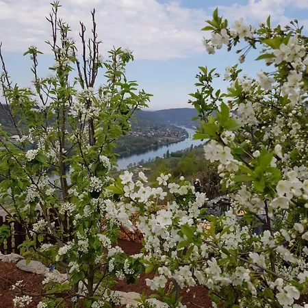 Apartamento An Der Mosel 1