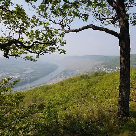 Lejlighed An Der Mosel 1 *