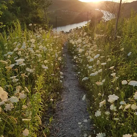 An Der Mosel 1 * Graach