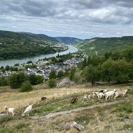Apartamento An Der Mosel 1