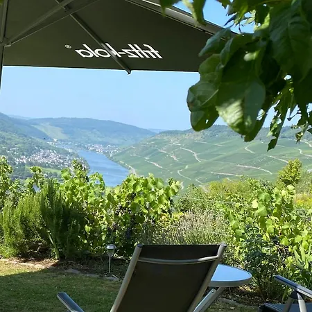 An Der Mosel 1 Apartment