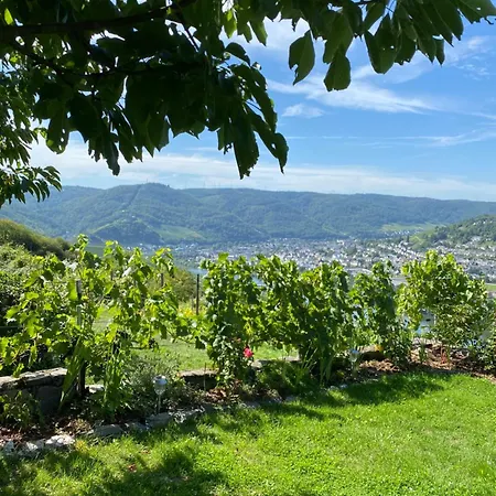 Apartment An Der Mosel 1 Graach