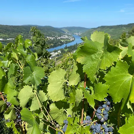 An Der Mosel 1 Lejlighed Graach