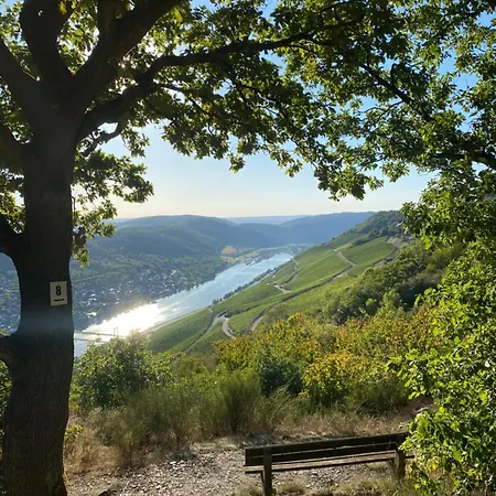 An Der Mosel 1 *