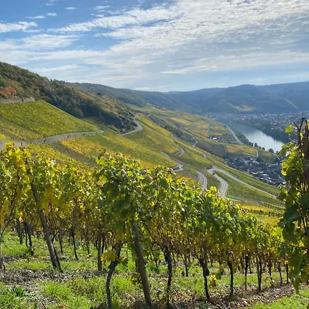 Appartement An Der Mosel 1 *