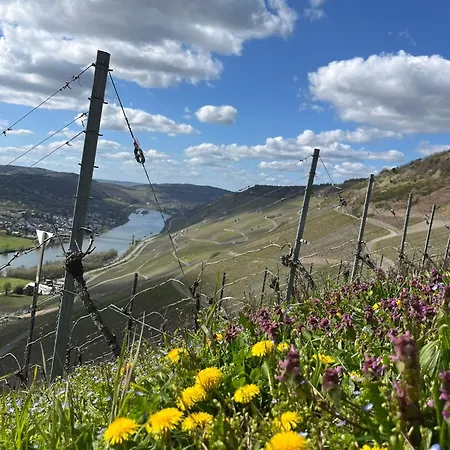 An Der Mosel 1 Lejlighed *