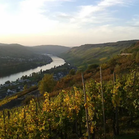 An Der Mosel 1 Apartament *