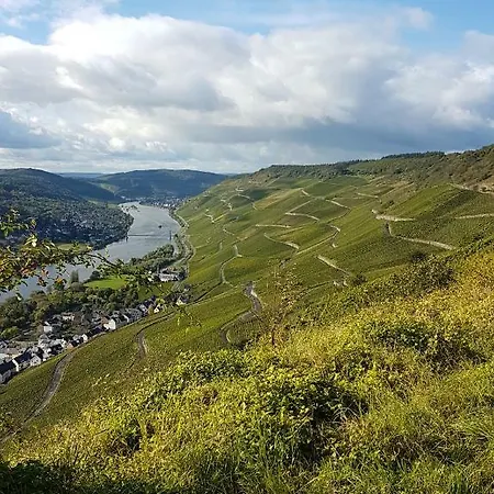 An Der Mosel 1 Apartment