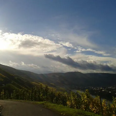 An Der Mosel 1 Apartament Graach