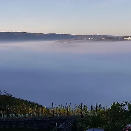 Apartment An Der Mosel 1 Graach