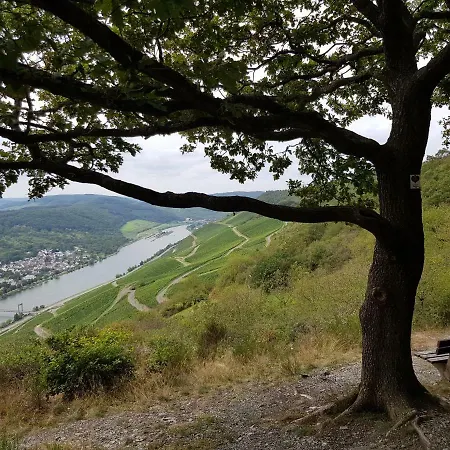 An Der Mosel 1 Apartment