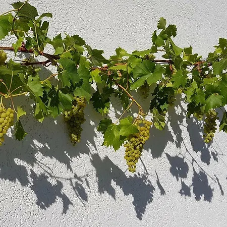 An Der Mosel 1 Apartment *