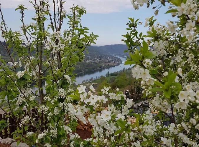 Appartamento An Der Mosel 1