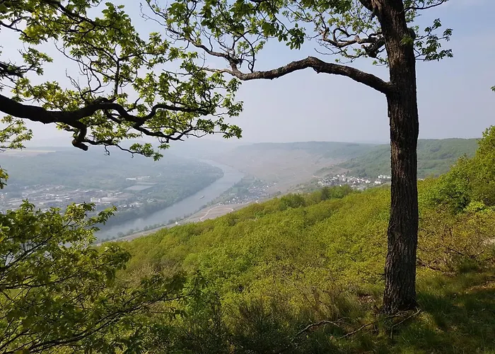 Appartamento An Der Mosel 1 *