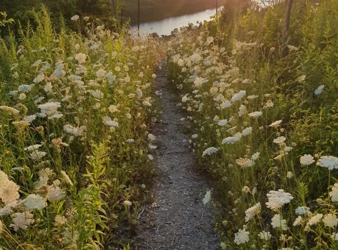 An Der Mosel 1 * Graach