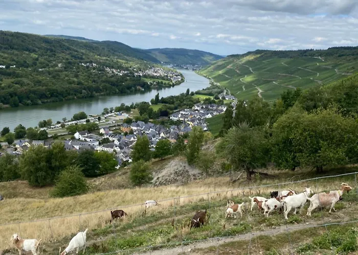 Appartamento An Der Mosel 1