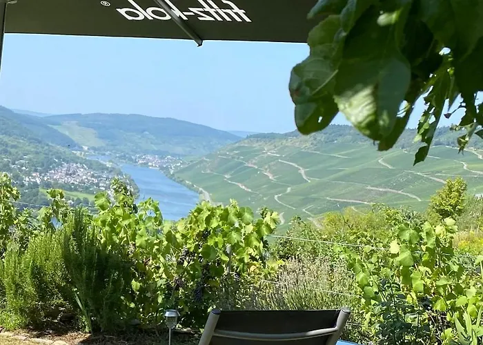 An Der Mosel 1 Appartamento