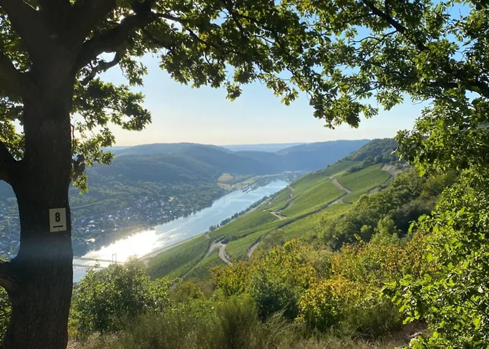 An Der Mosel 1 *