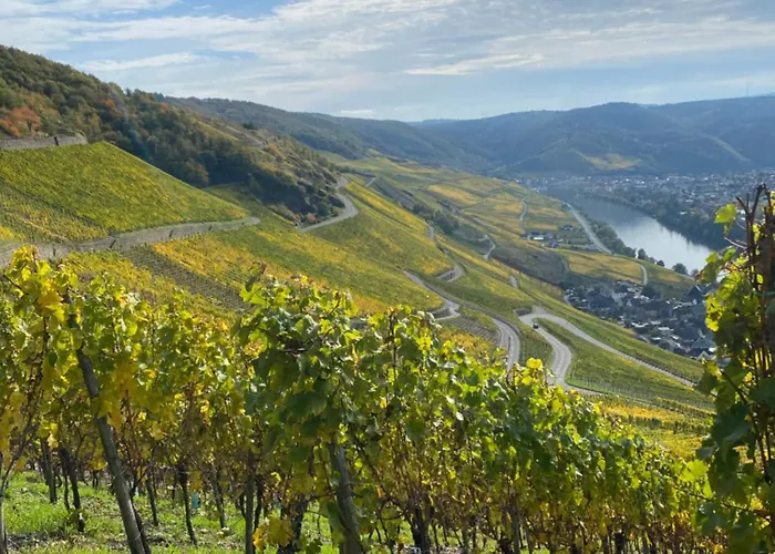 Appartamento An Der Mosel 1 *