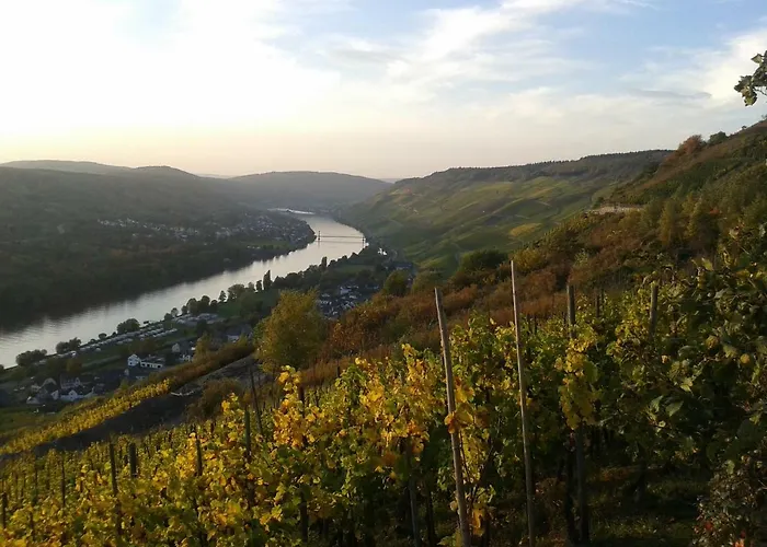 An Der Mosel 1 Appartamento *