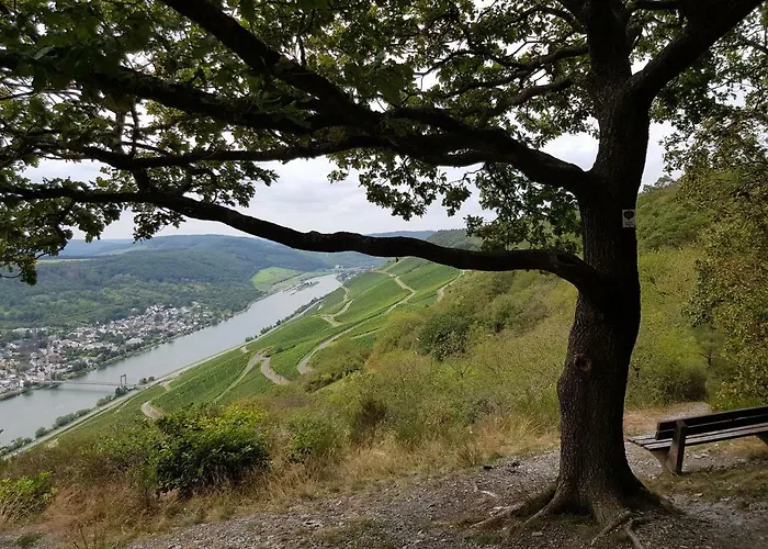 An Der Mosel 1 Appartamento