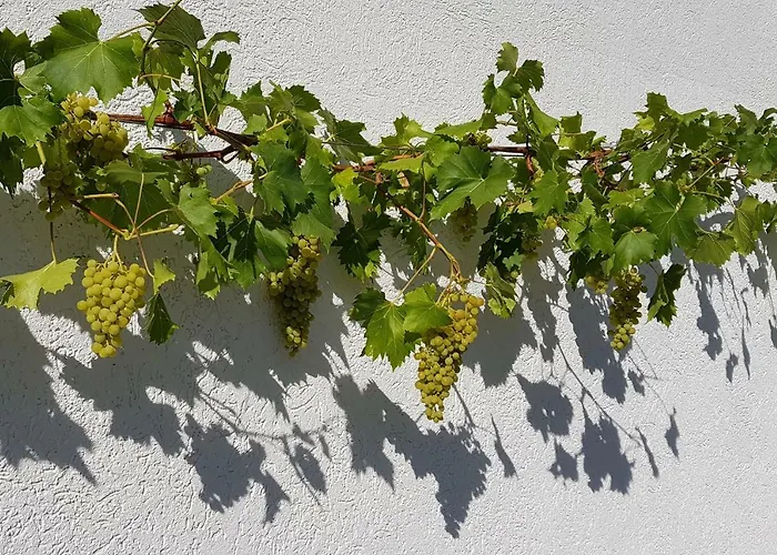 An Der Mosel 1 Appartamento *